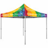 KW Rainbow Network | 10 ft. Aluminum Canopy Tent